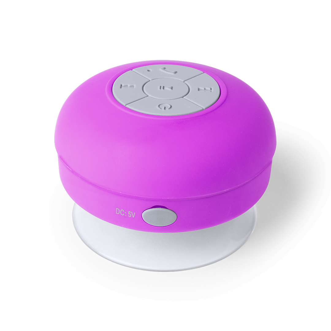 Rariax miniatura